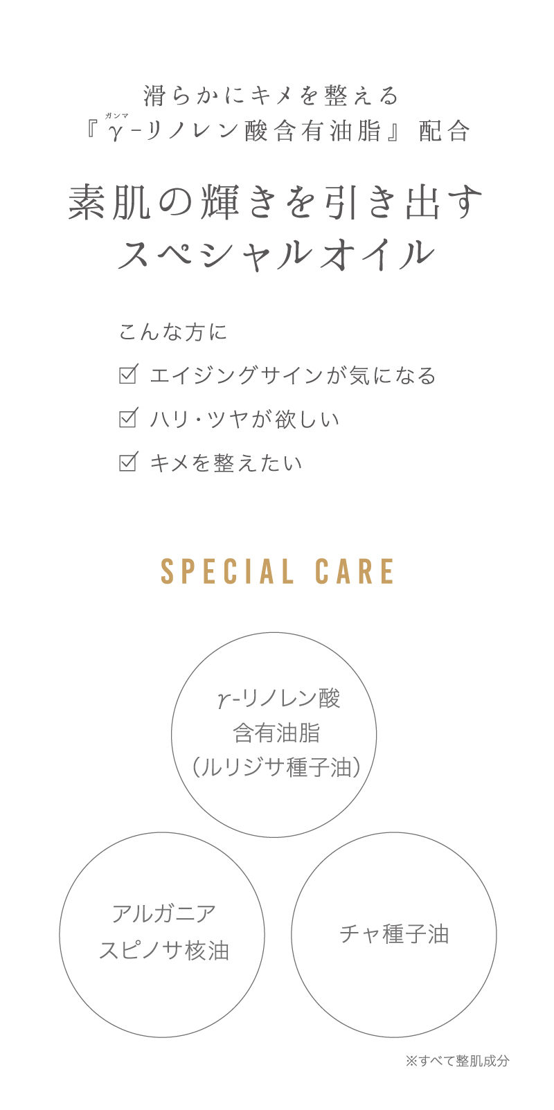 EBM ONLINE STUDIO / EBM ESエクストラオイル 20mL
