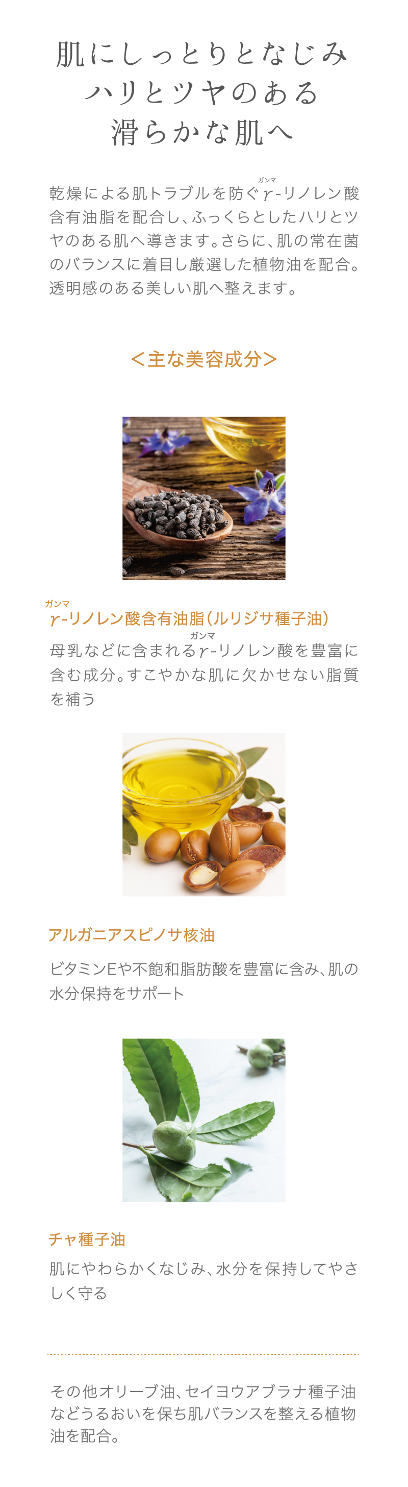 EBM ONLINE STUDIO / EBM ESエクストラオイル 20mL