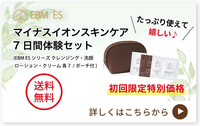 EBM ONLINE STUDIO